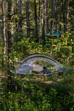 Adventure Forest